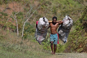 Transporteur / Spediteur zu Fuß, Madagaskar
