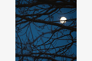 Mondm o Mond