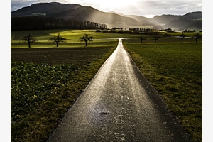Morgenlicht