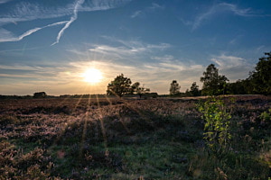 Abendstimmung im Pietzmoor