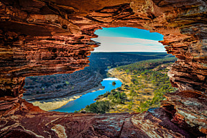 Nature's Window