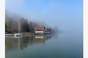 Nebel am Alpsee