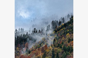 Nebel