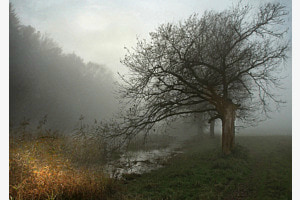 Nebel bei Bern
