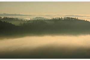 Nebel über dem Mittelland