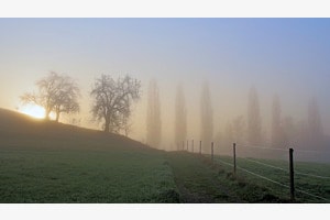 Sonnenaufgang bei Nebel