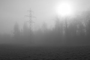 Alleine