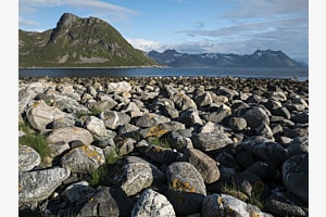 Am Grunnfarnes-Fjord auf Senja