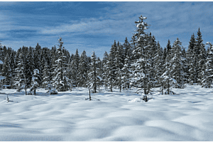 Stille im Jura