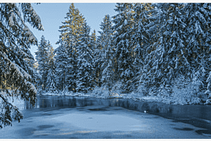 Schnee und Eis Etang De La Gruère