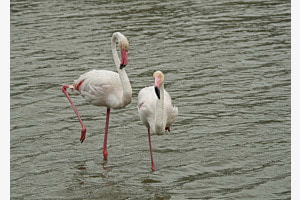 In bewegung