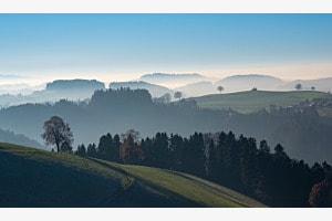 Sicht von Borisried 