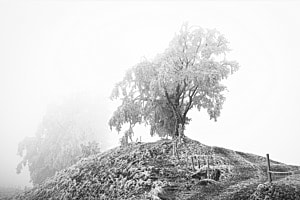 Winter Stille