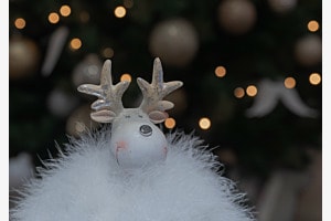 Weihnachtselch Weihnachtselch