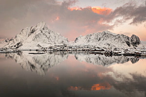 Reine