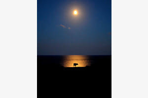 Cornwall