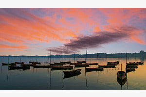 Pfäffikersee