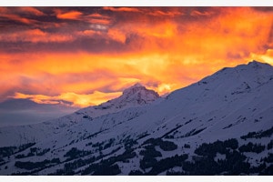 ALPINE DREAM