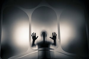 Die Geister die ich rief
