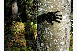Schattenhand