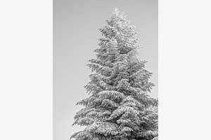 Schnee & Eis I