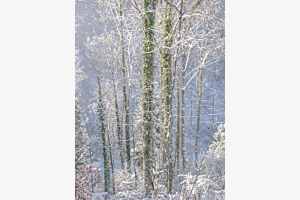 Schnee & Eis III