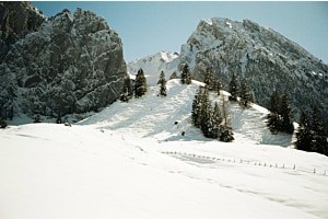 Schneelandschaft analog Schneelandschaft analog