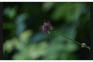 Stand alone