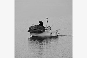 Wasser