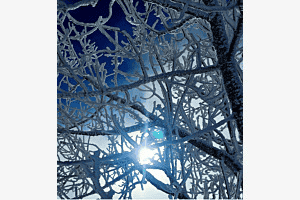 Snow