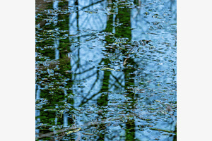 Spiegelung im Wasser Spiegelung im Wasser