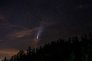 Neovise im Sternenhimmel Neovise im Sternenhimmel