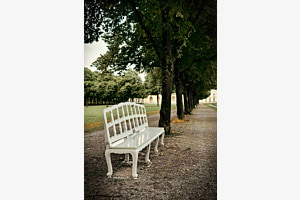 Alleine im Park (München)