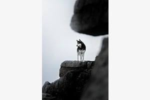 King of the Mountains