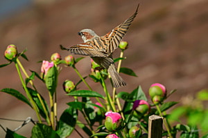 Abflug