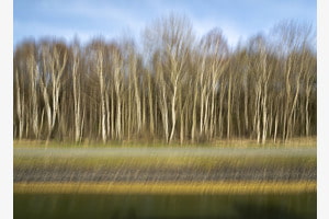 Ufer