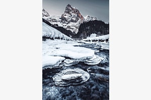 Winterland