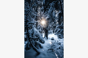 Winterland