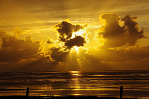 Goldene Nordsee