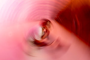 circles of thought | wonderland