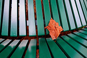 Der Herbst ist da