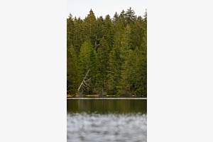 Etang de la Gruère