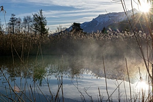 Weissenau