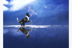 Magic of Mountainlake