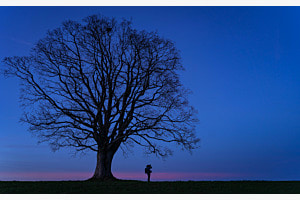 Fotografie in der blauen Stunde