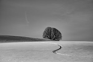 Winter in Affoltern i.E. 