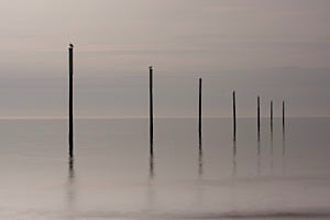 Meersicht