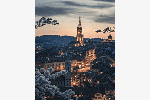 Die Kirschblüten von Bern