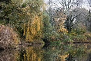 Herbst