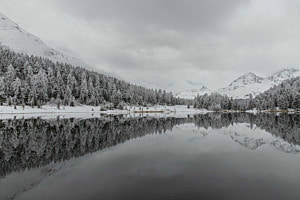 Winterruhe